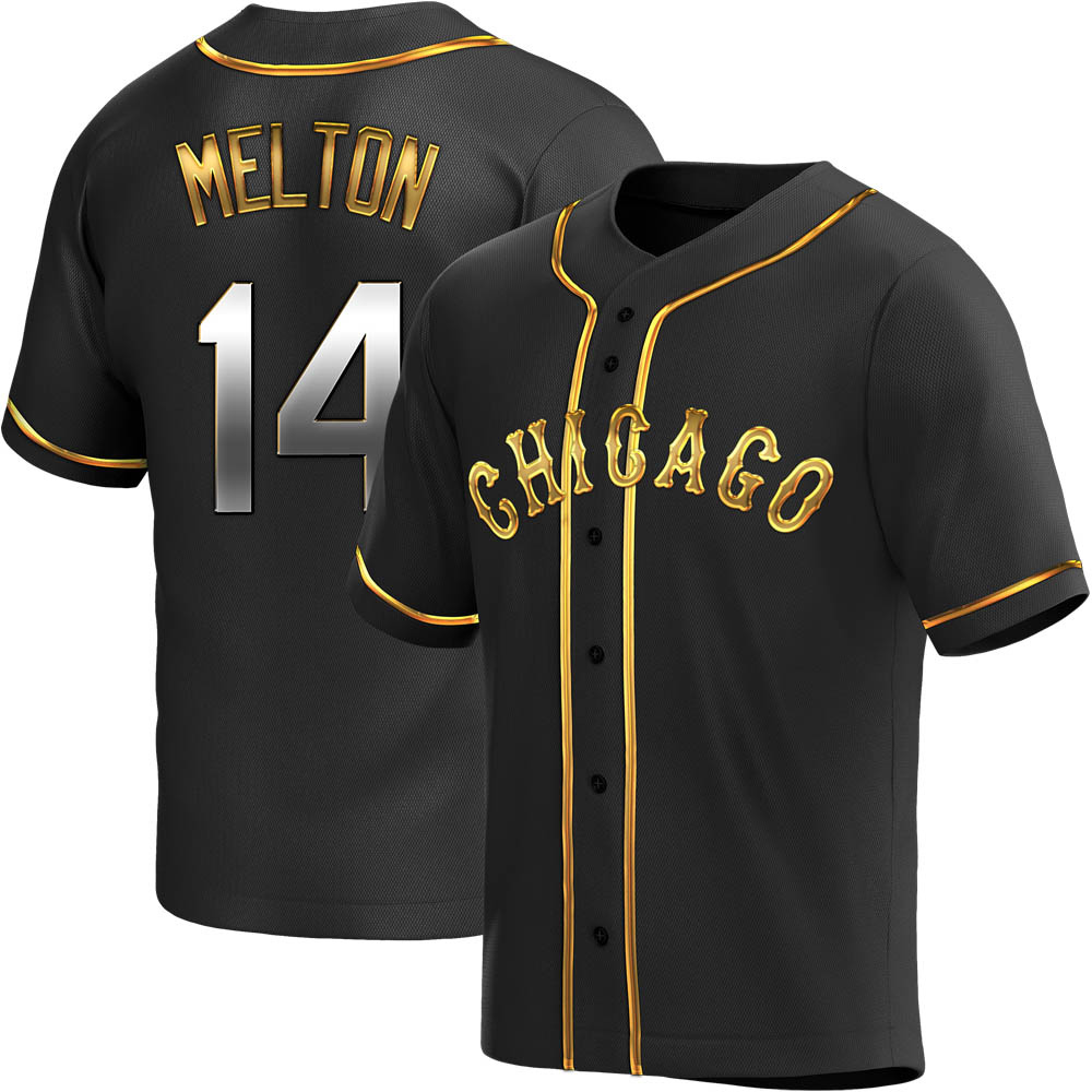 Replica Bill Melton Men's Chicago White Sox Black Golden Alternate Jersey