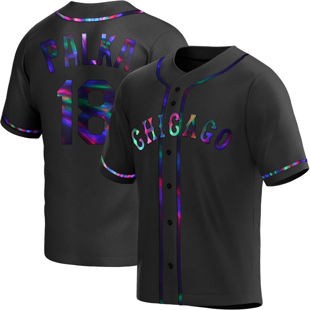 Replica Daniel Palka Youth Chicago White Sox Black Holographic Alternate Jersey Replica Daniel Palka Youth Chicago White Sox Black Holographic Alternate Jersey
